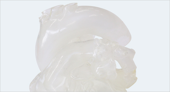3D Flexible Heart & Organ Models