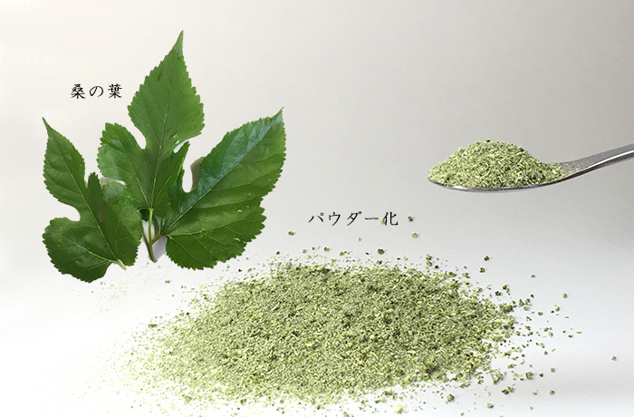 佐々木化学薬品株式会社は研究内容に応じた生体試料のパウダーの受託製造を承ります